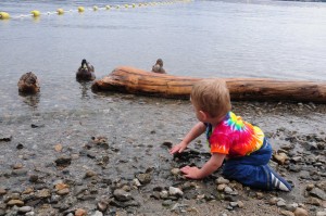 Soren and ducks