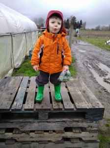 King of the farm (with freshly picked herbs in his sack)